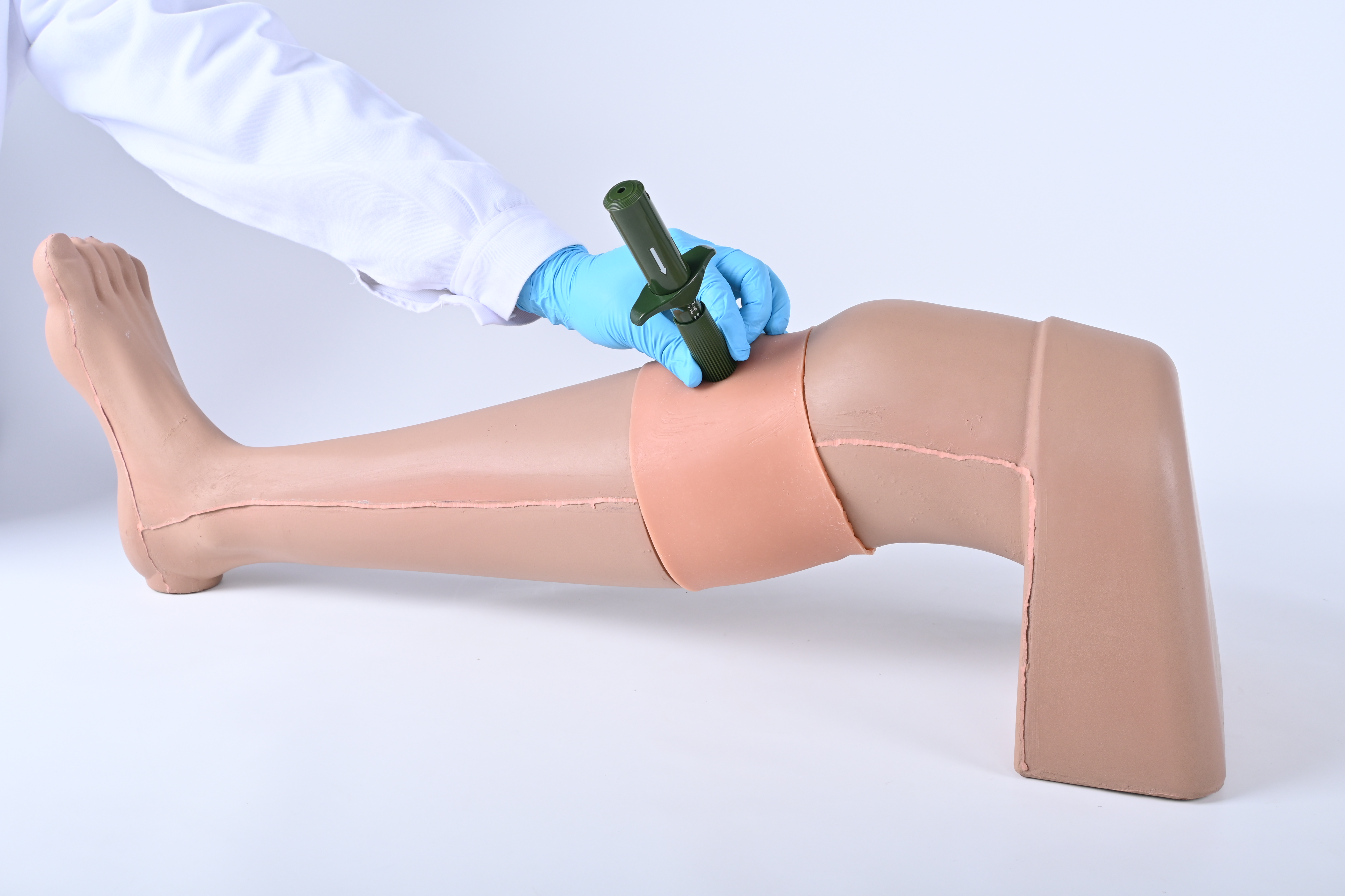 Tibial Intraosseous Injection Model